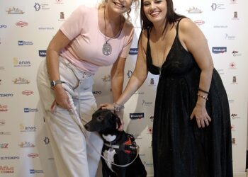 Pet Carpet: Marocco, Italia e USA trionfano al Festival del Cinema sugli Animali nel segno di San Francesco