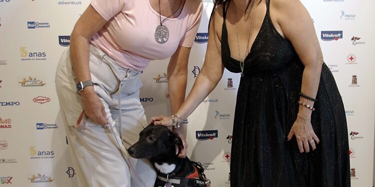 Pet Carpet: Marocco, Italia e USA trionfano al Festival del Cinema sugli Animali nel segno di San Francesco
