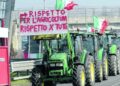 Proteste contro il Governo Meloni, cresce la mobilitazione nel Centro-Sud: agricoltori, autotrasportatori, pescatori, studenti e operai in piazza